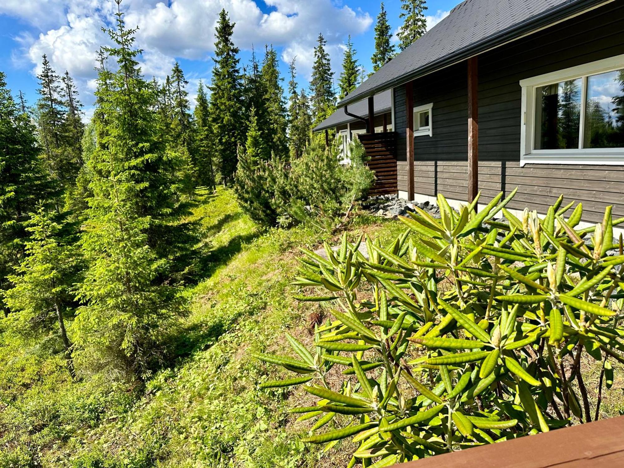 Hietavilla Aurora Ruka Eksteriør billede